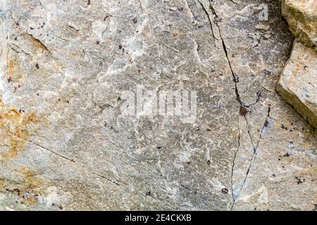 Quartzite d'Elendboden, exposition de pierres et drapeaux à la Haus Alpine Naturschau, Grossglockner High Alpine Road, parc national Hohe Tauern, Salzburger Land, Salzbourg, Autriche Banque D'Images