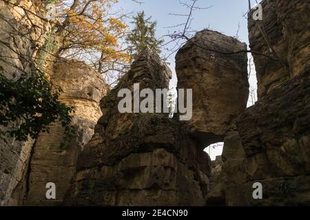 Europe, Allemagne, Bade-Wurtemberg, Besigheim, Hessigheim, jardins rocheux Banque D'Images