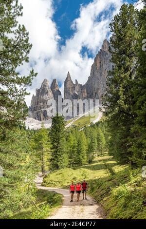 Tiers, Tierser Tal, province de Bolzano, Dolomites, Tyrol du Sud, Italie. Randonneurs devant les célèbres sommets rocheux des Tours Vajolet Banque D'Images