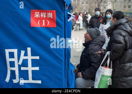Un travailleur médical prélève un écouvillon auprès d'un résident pour le dépistage des acides nucléiques, à la suite de nouveaux cas de coronavirus à Beijing, en Chine, le 23 janvier 2021. Banque D'Images
