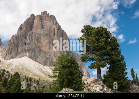 Italie, Tyrol du Sud, Grödner Tal, Val Gardena, Col de Sella, rochers dans le jardin d'escalade Steinerne Stadt avec Langkofel Banque D'Images