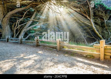 Zone d'utilisation de jour Pfeiffer dans Big sur Banque D'Images