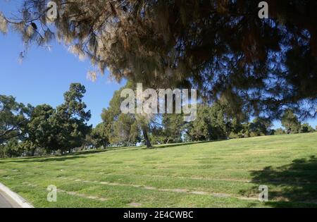 Glendale, Californie, États-Unis 18 janvier 2021 UNE vue générale de l'atmosphère de Forest Lawn Memorial Park le 18 janvier 2021 à Glendale, Californie, États-Unis. Photo par Barry King/Alay stock photo Banque D'Images