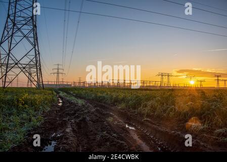 Lever du soleil, pylônes à courant lourd, pylônes électriques, lignes électriques, sous-station Wolmirstedt, Saxe-Anhalt, Allemagne Banque D'Images