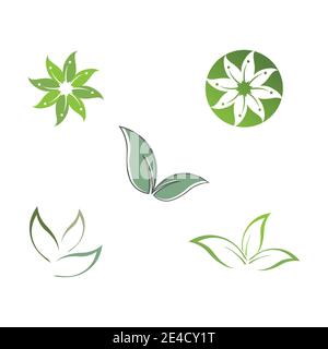 Définir l'illustration du modèle vectoriel du logo Eucalyptus Leaves Illustration de Vecteur