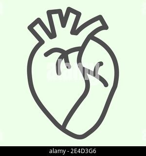 Icône de ligne d'organe cardiaque. Pictogramme réaliste de style contour du cœur humain sur fond blanc. Signes d'anatomie et d'organes pour le concept mobile et la conception de Web Illustration de Vecteur