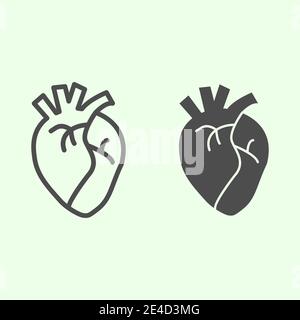 Ligne d'organe cardiaque et icône pleine. Pictogramme réaliste de style contour du cœur humain sur fond blanc. Anatomie et organes signes pour le concept mobile et Illustration de Vecteur