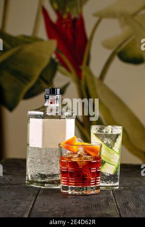 Vue latérale sur les cocktails de gin dans des verres avec bouteille Banque D'Images