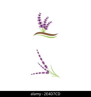 Lavande logo modèle vecteur symbole nature Illustration de Vecteur