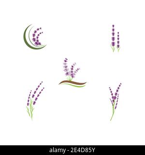 Définir la nature du symbole vectoriel du modèle de logo Lavender Illustration de Vecteur