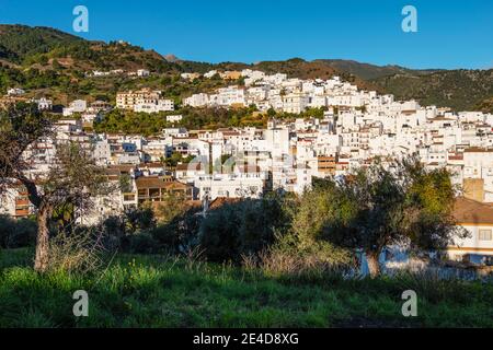 Vue sur le village blanc de Tolox au parc naturel Sierra de las Nieves, province de Malaga. Andalousie. Europe du sud de l'Espagne Banque D'Images