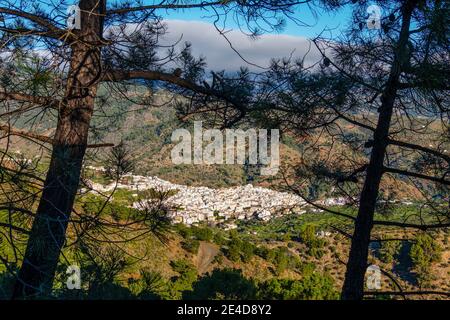 Vue sur le village blanc de Tolox au parc naturel Sierra de las Nieves, province de Malaga. Andalousie. Europe du sud de l'Espagne Banque D'Images