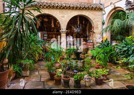 Poterie Tito. Exposition de céramique et de poterie dans la cour intérieure du magasin, Ubeda, site classé au patrimoine mondial de l'UNESCO. Province de Jaen, Andalousie, Sud S. Banque D'Images