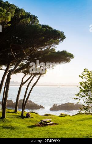 Jardins de la Península de la Magdalena. Santander, Mer de Cantabrique, Cantabrie, Nord de l'Espagne, Europe Banque D'Images