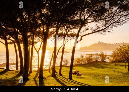 Jardins de la Península de la Magdalena. Santander, Mer de Cantabrique, Cantabrie, Nord de l'Espagne, Europe Banque D'Images