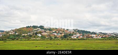 Paysage typique de Madagascar par jour couvert nuageux - bétail broutant dans des champs de riz humides en premier plan, maisons sur de petites collines de Antananarivo sub Banque D'Images