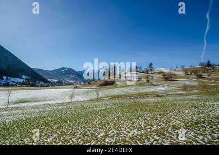 neige et paysage vert en hiver Banque D'Images