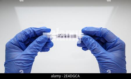 Kit de prélèvement d'écouvillons COVID-19 dans les mains du médecin, l'infirmière tient le tube de test PCR du coronavirus sur fond blanc. Concept de diagnostic du virus corona, médic Banque D'Images