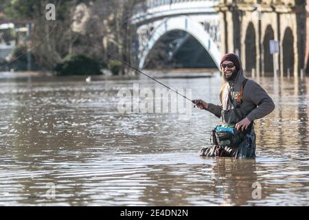 Stourport-on-Severn, Worcestershire, Royaume-Uni. 23 janvier 2021. Un pêcheur à la ligne profite aujourd'hui d'un parc automobile inondé à Stourport-on-Severn, dans le Worcestershire, alors que la rivière Severn éclate ses berges. Le niveau de la rivière est toujours en hausse et devrait atteindre son sommet plus tard aujourd'hui. Crédit : Peter Lophan/Alay Live News Banque D'Images