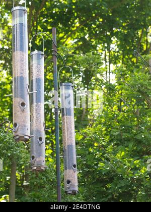 Trois mangeoires d'oiseaux suspendues dans un jardin britannique. Banque D'Images