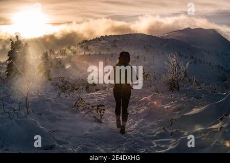 Femme Backpacker sur le sentier de Babia Gora randonnée d'hiver Pologne Beskidy Mountains Banque D'Images