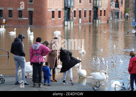 Worcester, Worcestershire, Royaume-Uni - samedi 23 janvier 2021 - les visiteurs viennent voir les inondations et nourrir les cygnes tandis que les routes riveraines et certaines entreprises sont inondées dans le centre de Worcester après le débordement de la rivière Severn. Le Severn devrait culminer à Worcester plus tard ce soir. Photo Steven May / Alamy Live News Banque D'Images