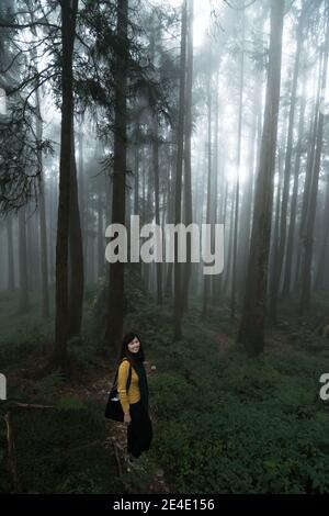 Portrait de belles femmes posant sous le cyprès de Formosan au parc national d'Alishan Taiwan. Banque D'Images