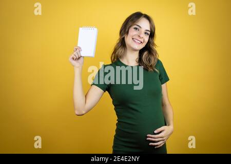 Jeune belle femme brune enceinte s'attendant à bébé sur jaune isolé arrière-plan souriant et montrant un ordinateur portable vierge dans sa main Banque D'Images