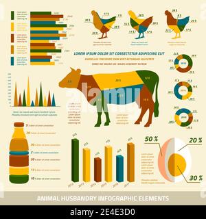 L'élevage des infographies télévision les éléments de conception et de l'élevage de poulets vector illustration Illustration de Vecteur