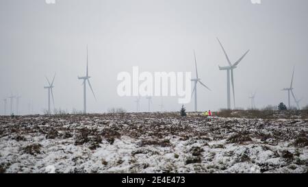 Parc éolien de Whitelee, Eaglesham, Écosse, Royaume-Uni. 15 janvier 2021. Photo : les gens qui marchent et font du jogging sur les landes enneigées de la ferme éolienne de Whitelee font leur exercice quotidien alors que l'Écosse est toujours en phase 4 verrouillée en raison de la pandémie du coronavirus (COVID-19). Parc éolien de Whitelee vu sous un tapis de neige, qui est encore couché sur le sol en raison de son emplacement sur le sol supérieur. Il est populaire avec les gens qui prennent leur exercice de verrouillage quotidien. Crédit : Colin Fisher Banque D'Images