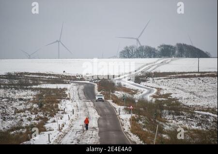 Parc éolien de Whitelee, Eaglesham, Écosse, Royaume-Uni. 15 janvier 2021. Photo : les gens qui marchent et font du jogging sur les landes enneigées de la ferme éolienne de Whitelee font leur exercice quotidien alors que l'Écosse est toujours en phase 4 verrouillée en raison de la pandémie du coronavirus (COVID-19). Parc éolien de Whitelee vu sous un tapis de neige, qui est encore couché sur le sol en raison de son emplacement sur le sol supérieur. Il est populaire avec les gens qui prennent leur exercice de verrouillage quotidien. Crédit : Colin Fisher Banque D'Images