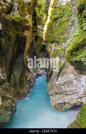 La rivière Tolminka qui traverse la gorge de Tolmin dans le parc national de Triglav, au nord-ouest de la Slovénie Banque D'Images