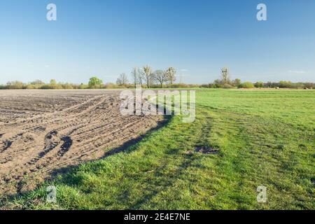 La terre brune labourée dans le champ et la prairie verte, horizon et ciel bleu Banque D'Images