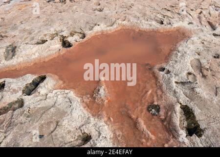 De l'eau rose redish dans le sable provenant d'algues, de minéraux et de dépôts de sel se trouve à Ras al Khaimah, aux Émirats arabes Unis Banque D'Images