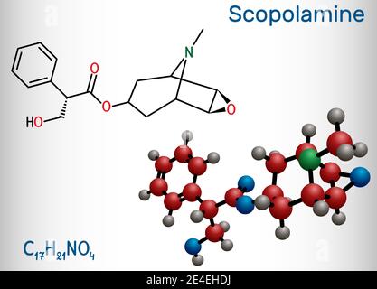 Hyoscine, scopolamine. Molécule de L-Scopolamine. Il s'agit d'un alcaloïde naturel, psychoactif, anticholinergique, antimuscarinique. Produit chimique structural f Illustration de Vecteur