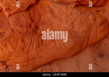 Anciennes marques parallèles de signification inconnue sur un mur de grotte à White Pocket, monument national Vermilion Cliffs, Arizona, États-Unis Banque D'Images