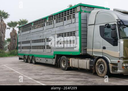 Chariot à cage pour le transport du bétail. Banque D'Images