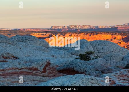 Premier feu sur les formations de grès Navajo de White Pocket, monument national de Vermilion Cliffs, Arizona, États-Unis Banque D'Images