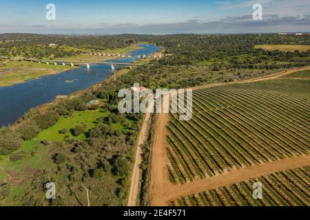 Vue aérienne du paysage industriel de la ciculture et de la rivière Guadiana à Olivenza Estrémadure Espagne Banque D'Images