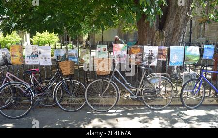 Bicyclettes et affiches attachées aux rambardes Cambridge Banque D'Images