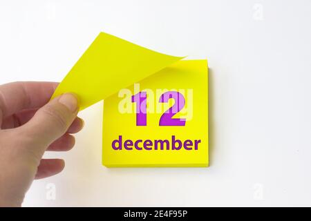 12 décembre. Jour 12 du mois, date du calendrier. La main se défait de la feuille jaune du calendrier. Concept mois d'hiver, jour de l'année Banque D'Images