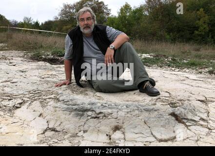 Jean-Michel Mazin, géologue et paléontologue, debout en face de la découverte récente d'un sauropode bien conservé, empreintes de dinosaures, entre 1.5 et deux mètres de diamètre dans les environs de Plagne, Jura, est de la France, le 6 octobre 2009. La découverte, qui a été faite en avril et date d'il y a 150 millions d'années, a été authentifiée par les scientifiques comme une découverte unique. Il s'agit peut-être des plus grandes traces de dinosaures jamais découvertes dans le monde, selon le Conseil National de recherche Français (CNRS).photo de Vincent Dargent/ABACAPRESS.COM Banque D'Images