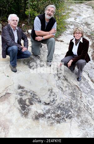 Patrice Landry Jean Michel Mazin (CNRS) et Marie Helen Marcaud, géologues et paléontologues, debout devant leur découverte récente d'un sauropode bien conservé, entre 1.5 et 2 mètres de diamètre dans les environs de Plagne, Jura, est de la France, le 6 octobre 2009. La découverte, qui a été faite en avril et date d'il y a 150 millions d'années, a été authentifiée par les scientifiques comme une découverte unique. Il s'agit peut-être des plus grandes traces de dinosaures jamais découvertes dans le monde, selon le Conseil National de recherche Français (CNRS).photo de Vincent Dargent/AB Banque D'Images