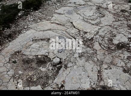 Vue de la découverte récente d'un sauropode bien conservé empreintes de dinosaures, entre 1.5 et 2 mètres de diamètre dans les environs de Plagne, Jura, est de la France, le 6 octobre 2009. La découverte, qui a été faite en avril et date d'il y a 150 millions d'années, a été authentifiée par les scientifiques comme une découverte unique. Il s'agit peut-être des plus grandes traces de dinosaures jamais découvertes dans le monde, selon le Conseil National de recherche Français (CNRS).photo de Vincent Dargent/ABACAPRESS.COM Banque D'Images