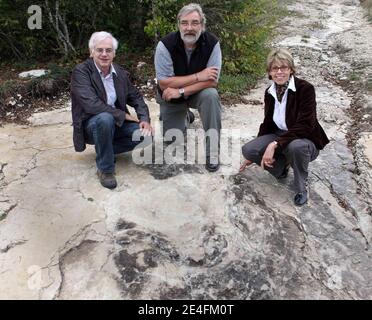 Patrice Landry Jean Michel Mazin (CNRS) et Marie Helen Marcaud, géologues et paléontologues, debout devant leur découverte récente d'un sauropode bien conservé, entre 1.5 et 2 mètres de diamètre dans les environs de Plagne, Jura, est de la France, le 6 octobre 2009. La découverte, qui a été faite en avril et date d'il y a 150 millions d'années, a été authentifiée par les scientifiques comme une découverte unique. Il s'agit peut-être des plus grandes traces de dinosaures jamais découvertes dans le monde, selon le Conseil National de recherche Français (CNRS).photo de Vincent Dargent/AB Banque D'Images