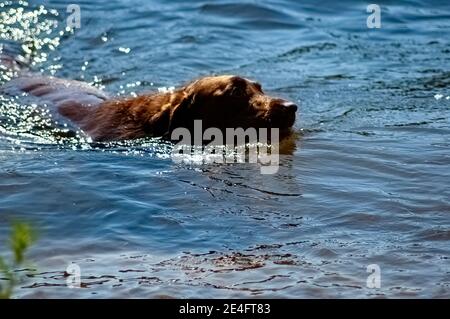 Woolwinephotography.com Banque D'Images