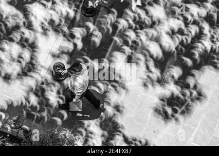 De vrais gens oubliant ce qui se passe autour d'eux: Minicelipses dans la vue de projection des ombres des feuilles et des branches d'arbres dans les rues Banque D'Images