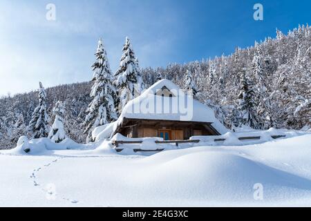 Velika Planina, Slovénie - janvier 9 2021 - romantique magnifique cabane en bois alpin, recouverte de neige fraîche et étincelante sur un pâturage de montagne avec des arbres Banque D'Images