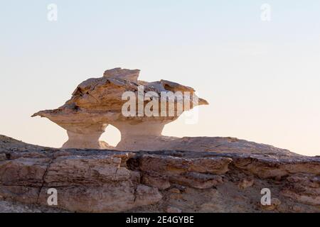 Formations de grès bizarres dans le désert blanc, tôt le matin, Farafra, Egypte Banque D'Images