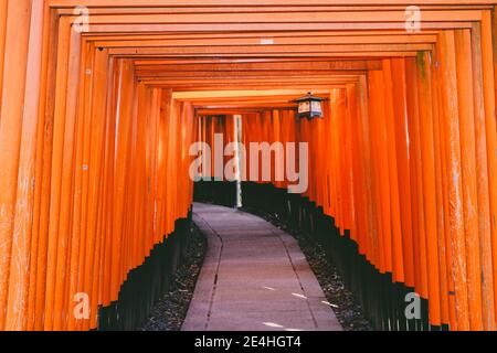 Le sanctuaire rouge et orange Fushimi Inari Taisha à Fukakusa, quartier de Fushimi à Kyoto, une attraction touristique populaire Banque D'Images